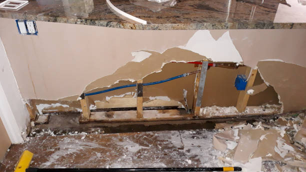 Best Carpet water damage restoration  in Mcconnellsburg, PA