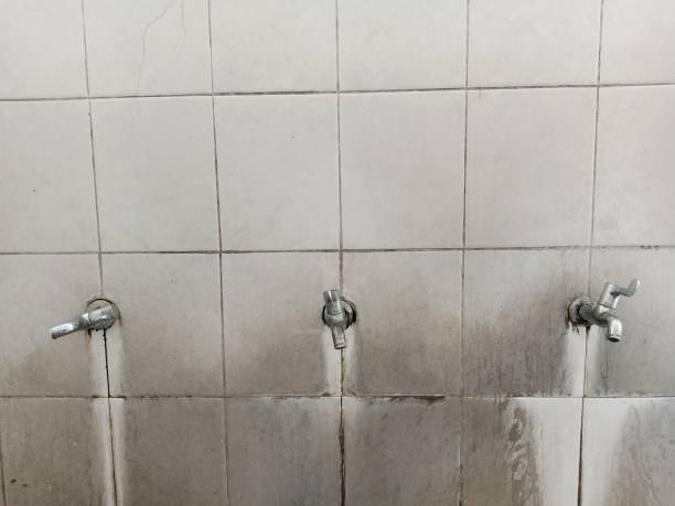 Best Mold removal after water damage  in Mcconnellsburg, PA