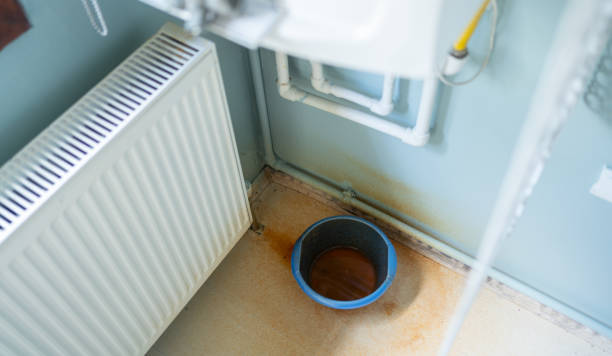 Best Ceiling water damage repair  in Mcconnellsburg, PA