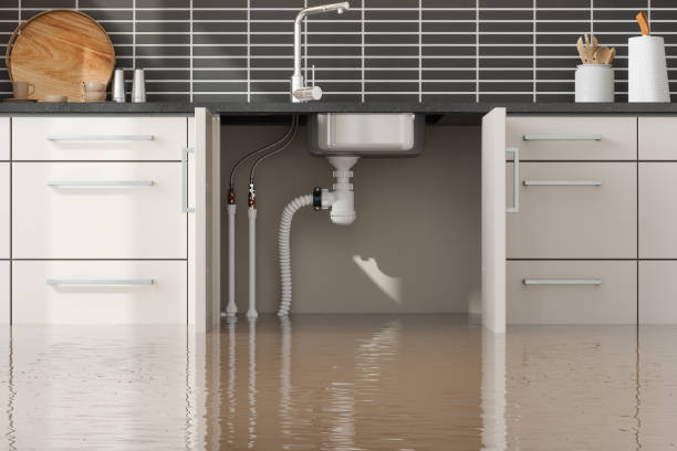 Best Water damage repair service  in Mcconnellsburg, PA